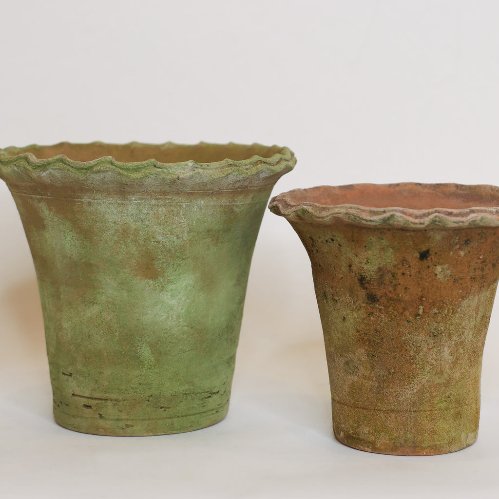 Aged Pie Crust Planter