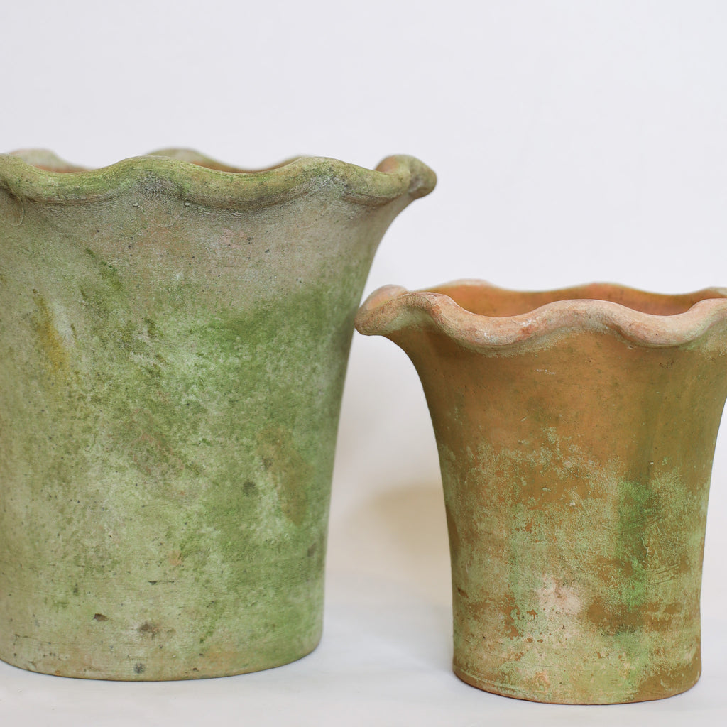 Aged Scallop Planter