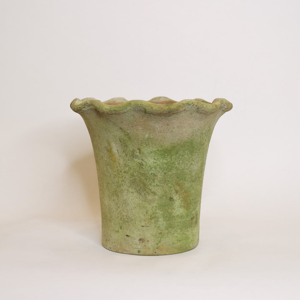Aged Scallop Planter
