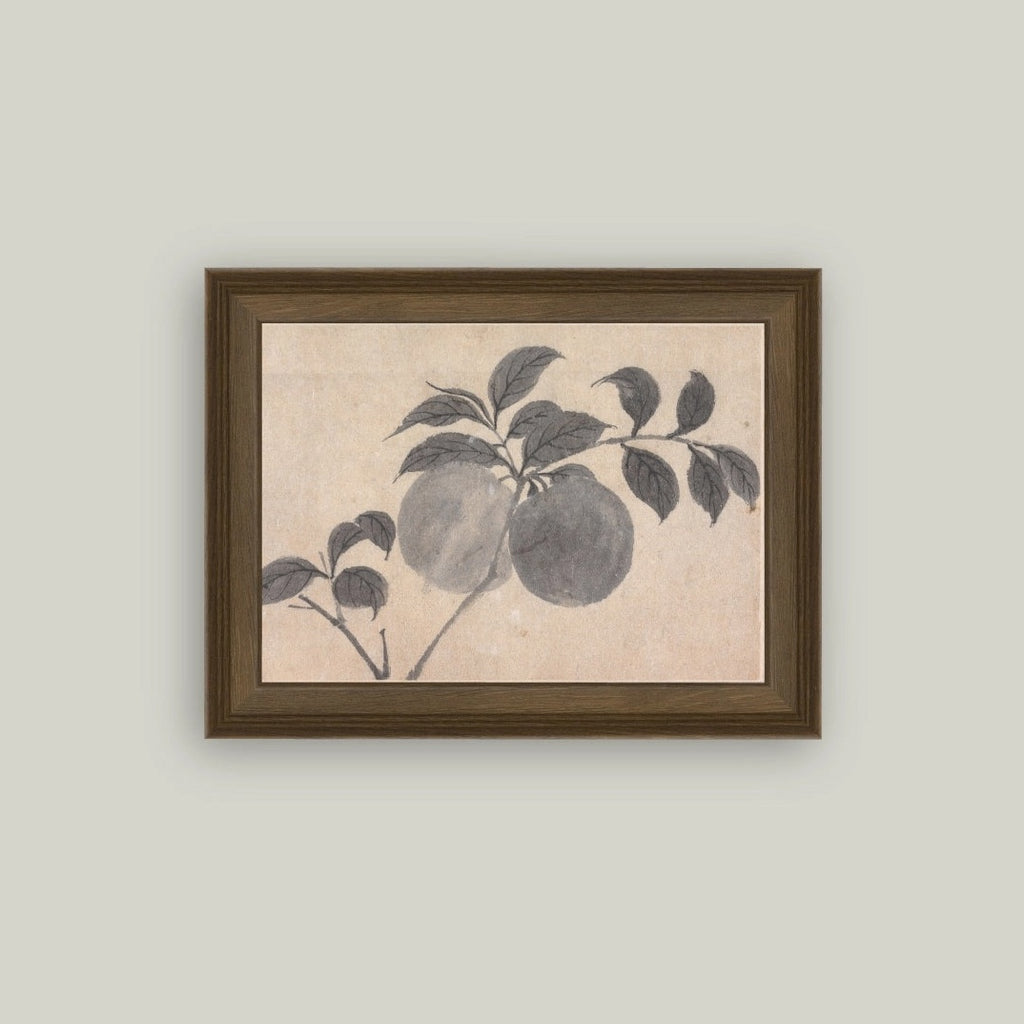 BRANCH OF FRUIT SKETCH FRAMED ARTWORK