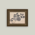 Branch of Fruit Sketch Framed Artwork