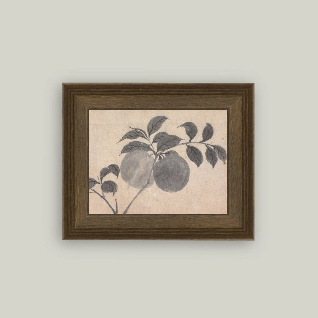 Branch of Fruit Sketch Framed Artwork