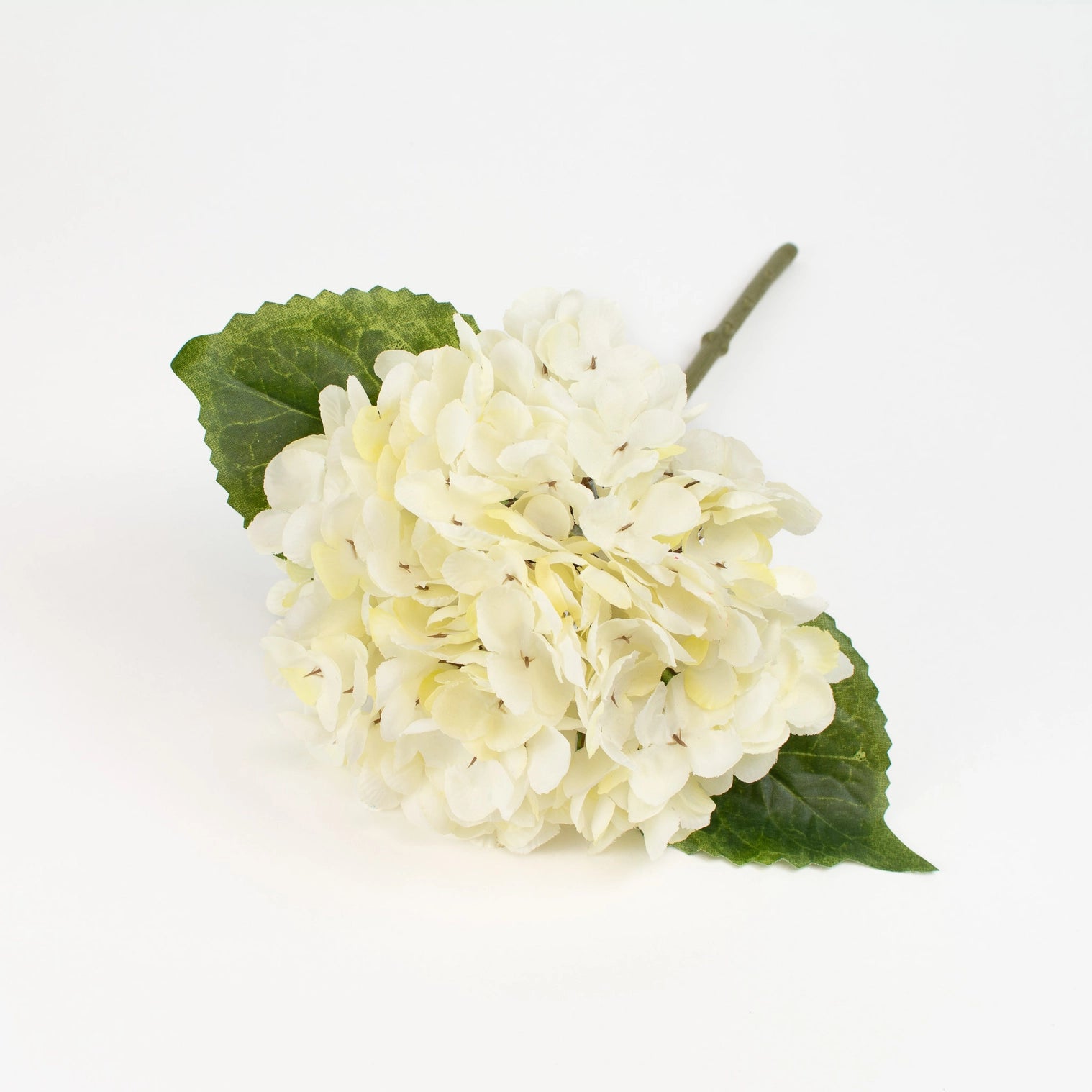 CREAM HYDRANGEA STEM
