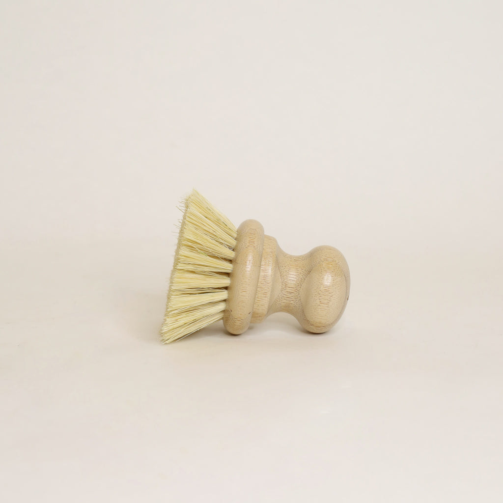 Dish Scrubber Brush