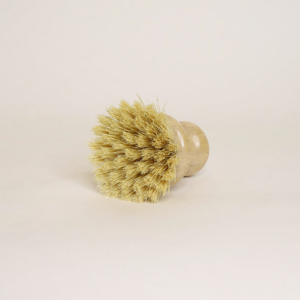 Dish Scrubber Brush
