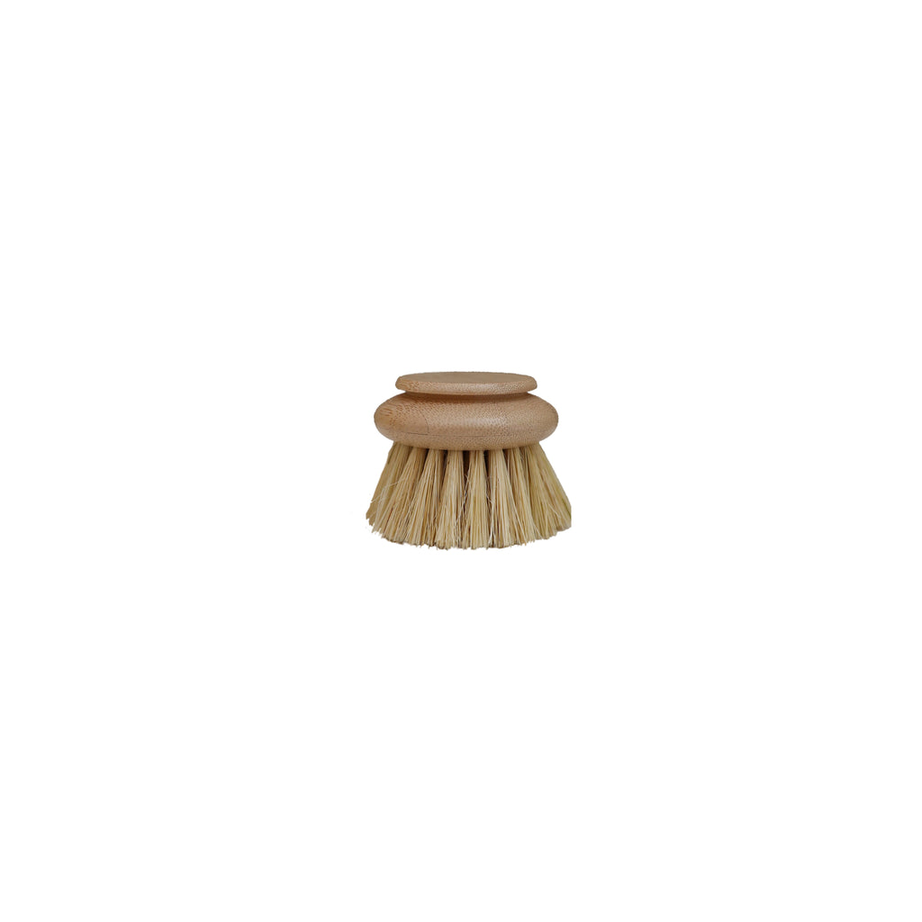 HANDLED DISH BRUSH - REPLACEMENT HEAD