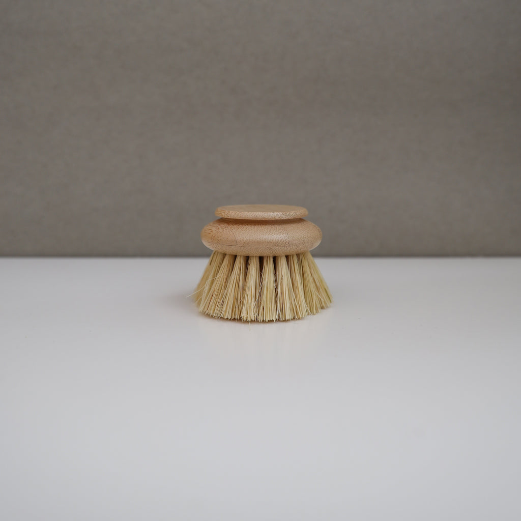 HANDLED DISH BRUSH - REPLACEMENT HEAD