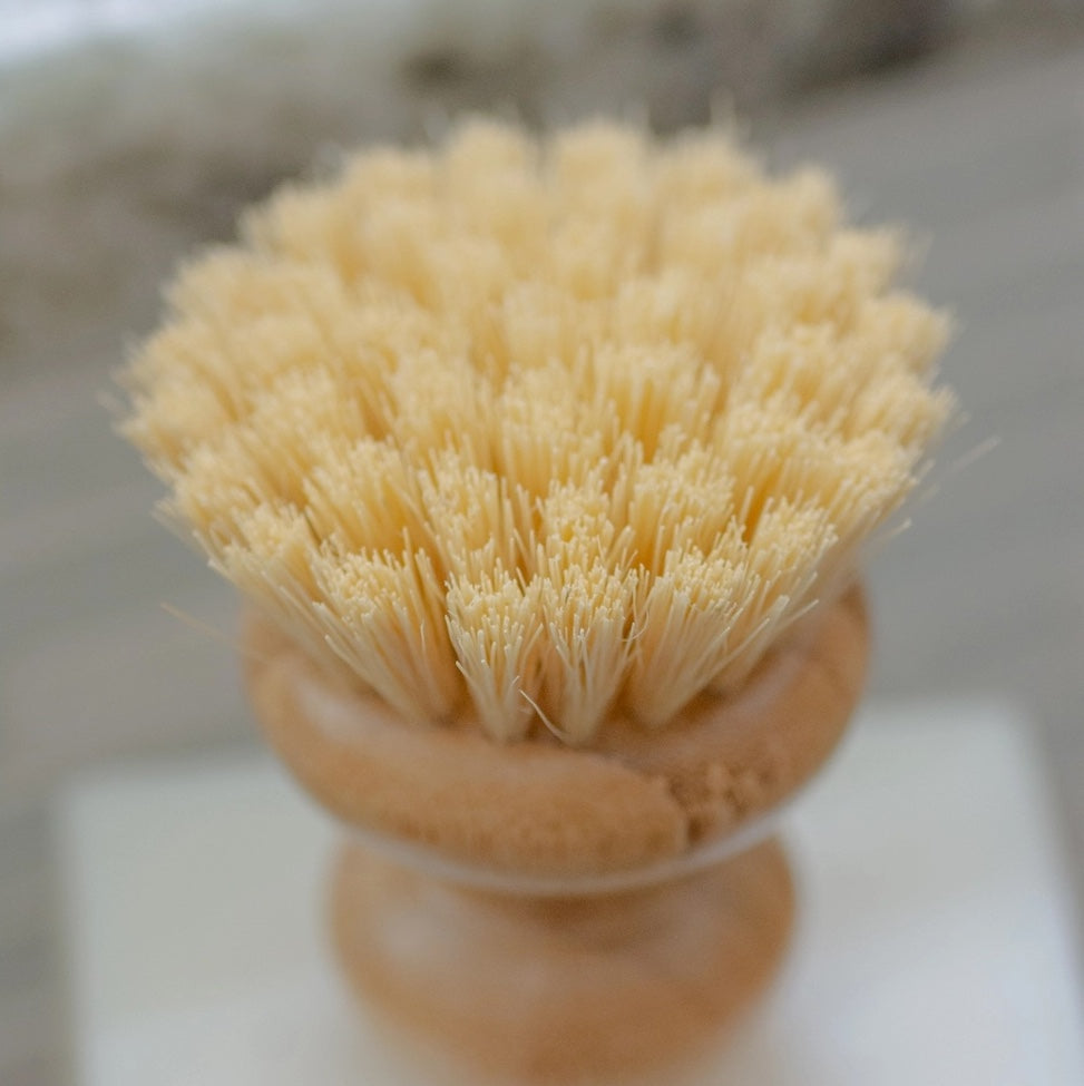 DISH WASHING BRUSH