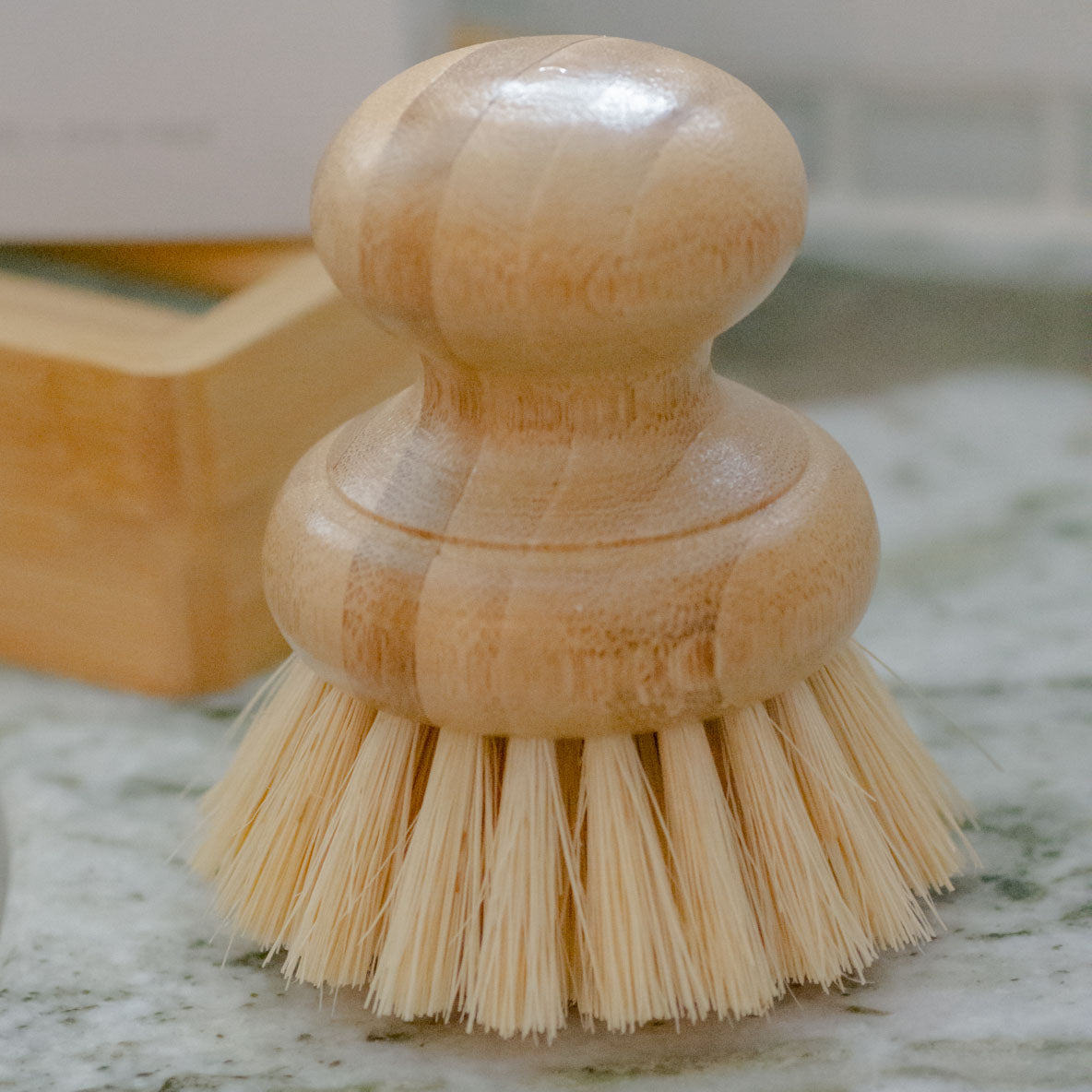 DISH WASHING BRUSH