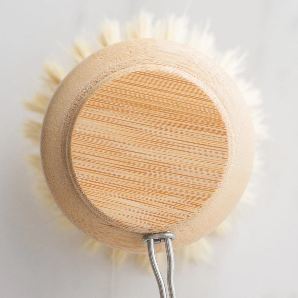 Handled Dish Brush Replacement Head