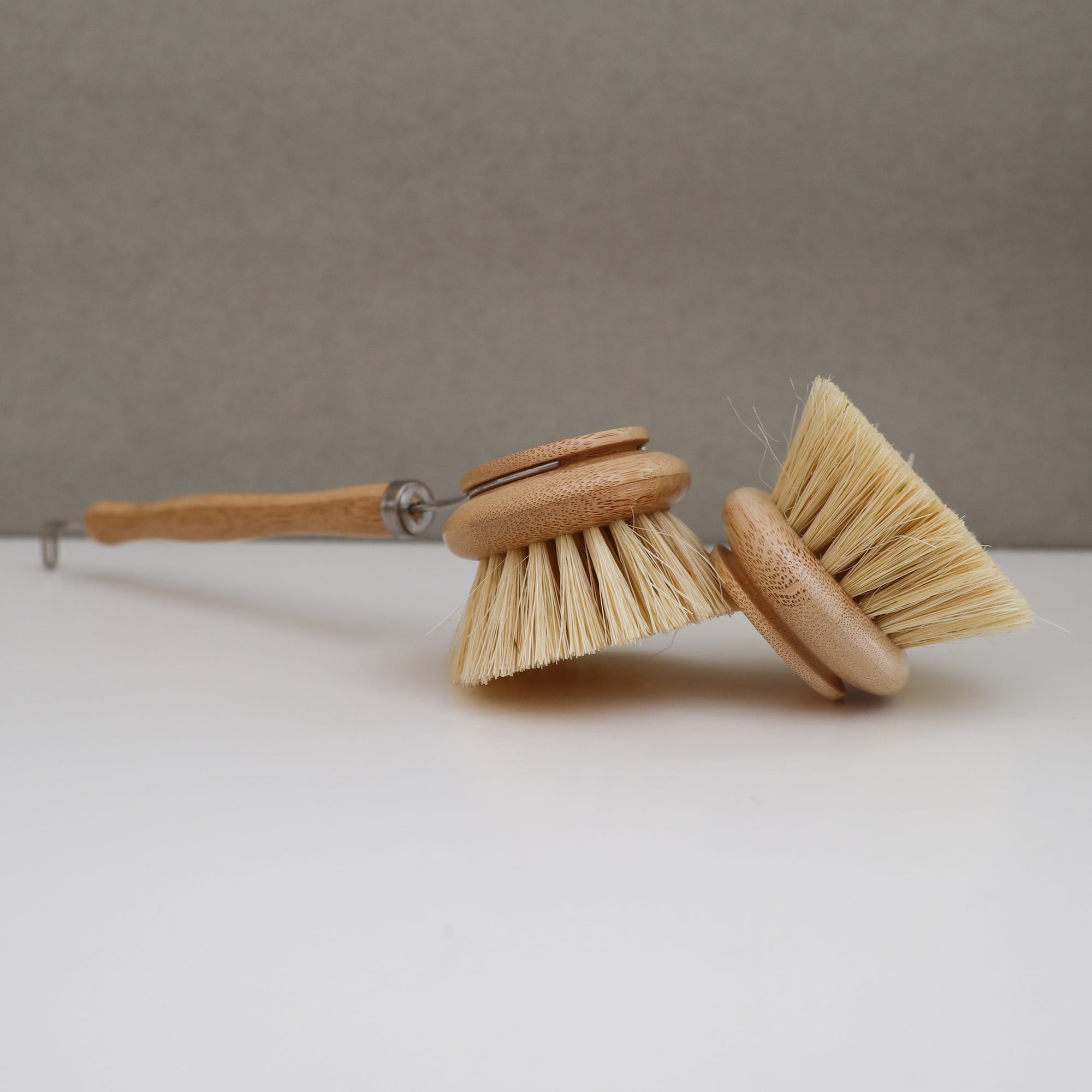 HANDLED DISH BRUSH - REPLACEMENT HEAD