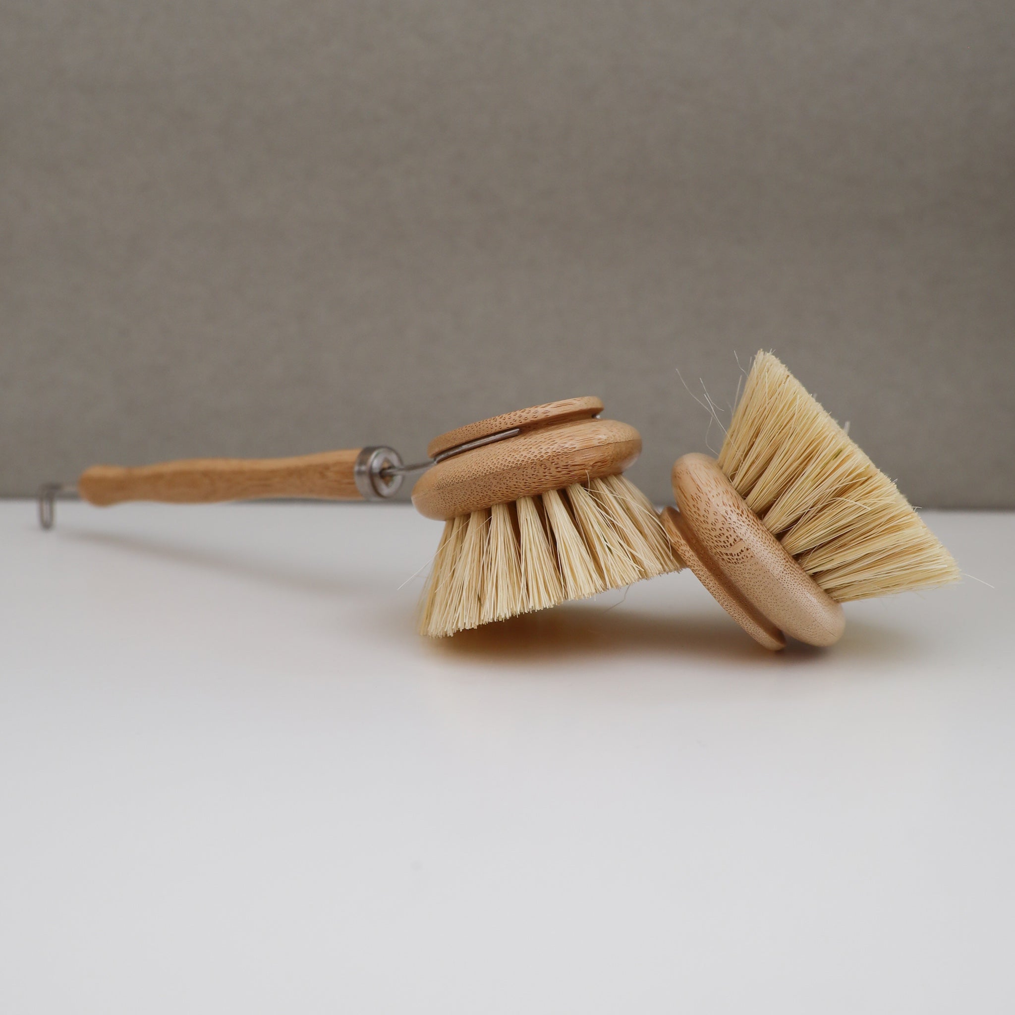 Handled Dish Brush