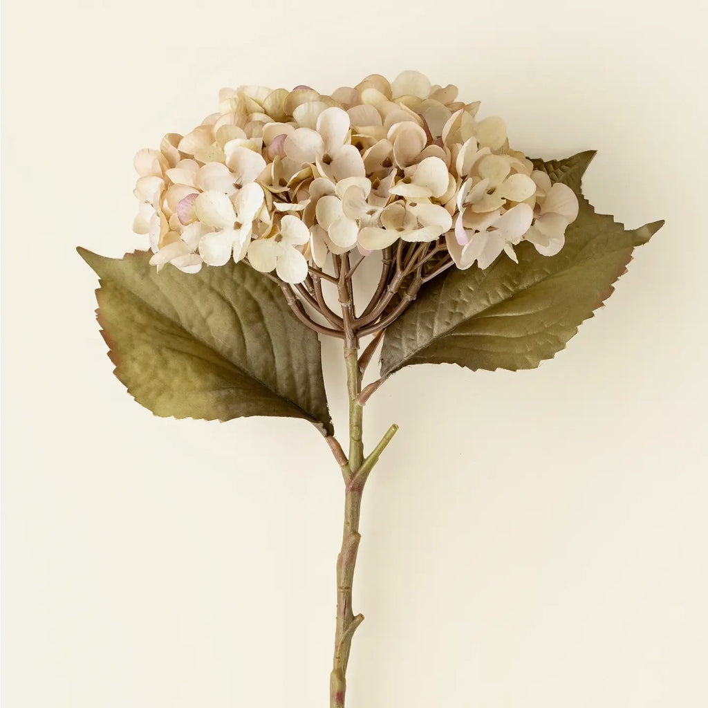 Heirloom White Hydrangea Stem