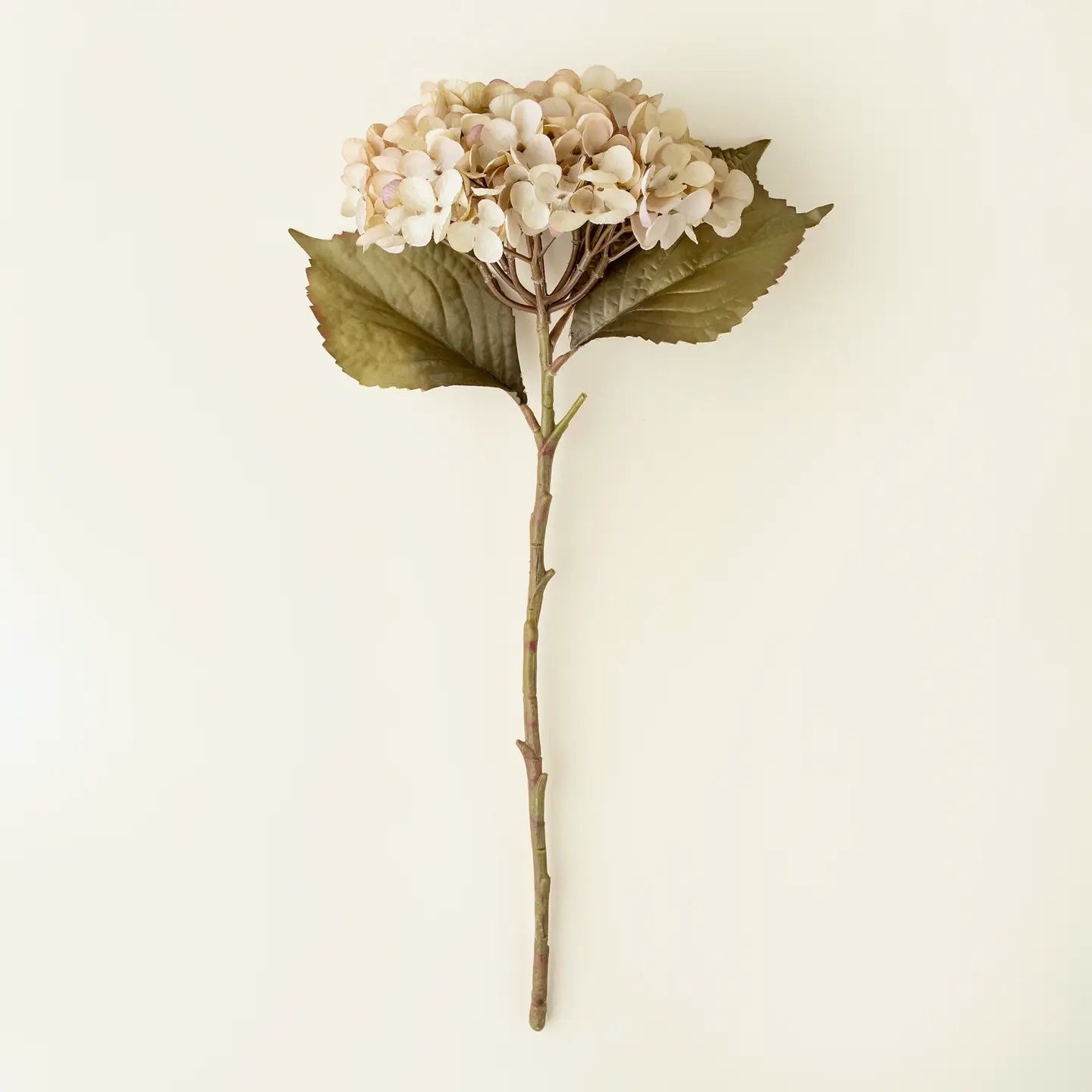 Heirloom White Hydrangea Stem