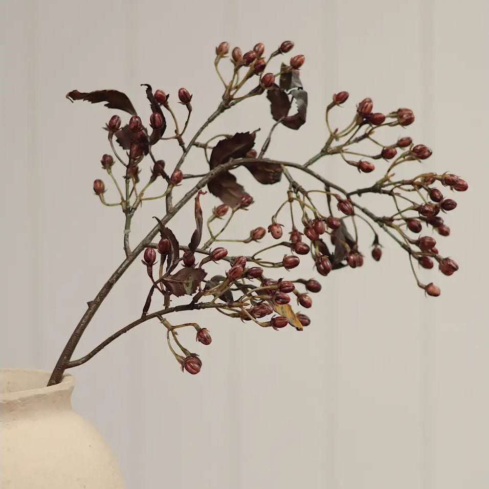 Hipericum Bud Stem