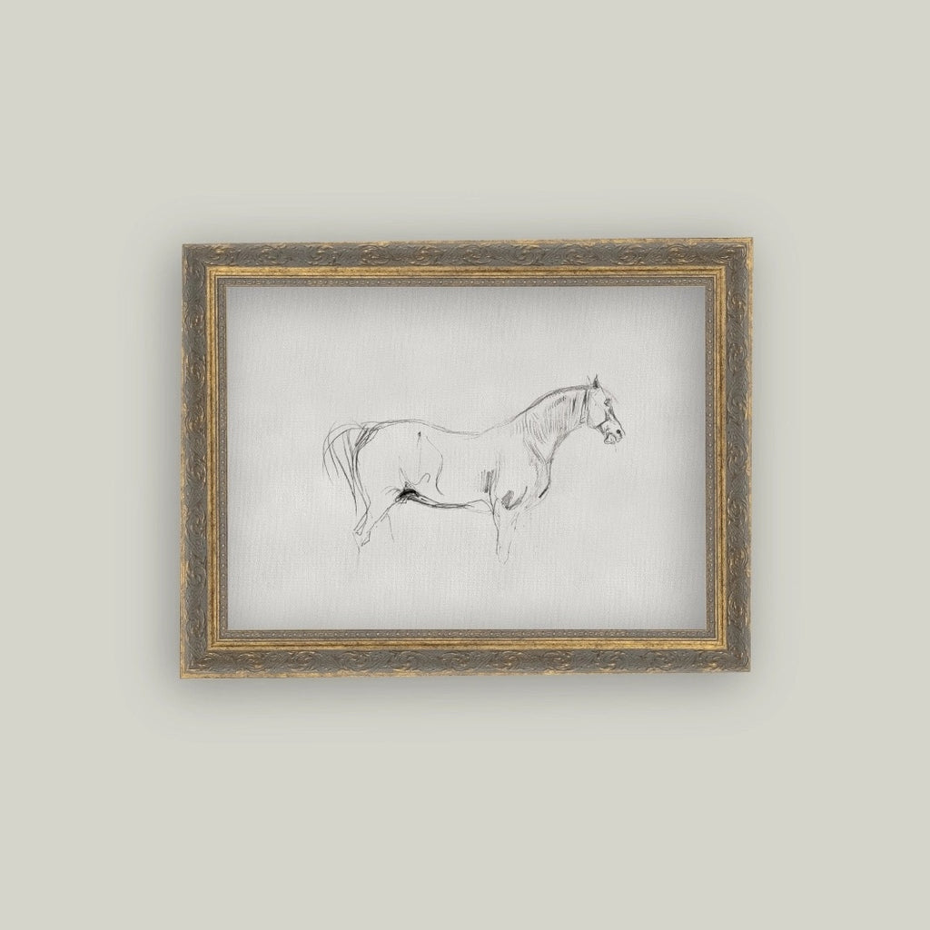 Horse Sketch Framed Artwork