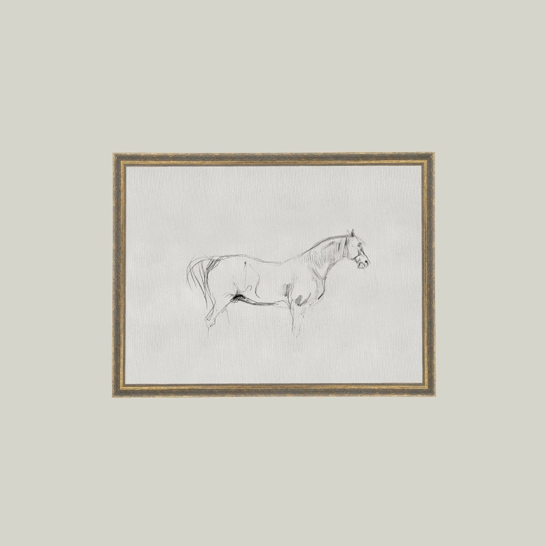 Horse Sketch Framed Artwork