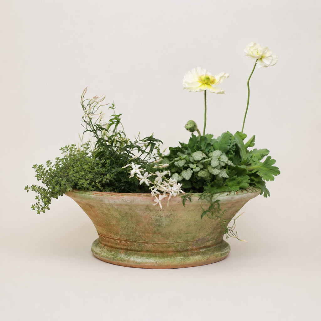 Aged Sollano Centerpiece