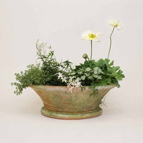 Aged Sollano Centerpiece