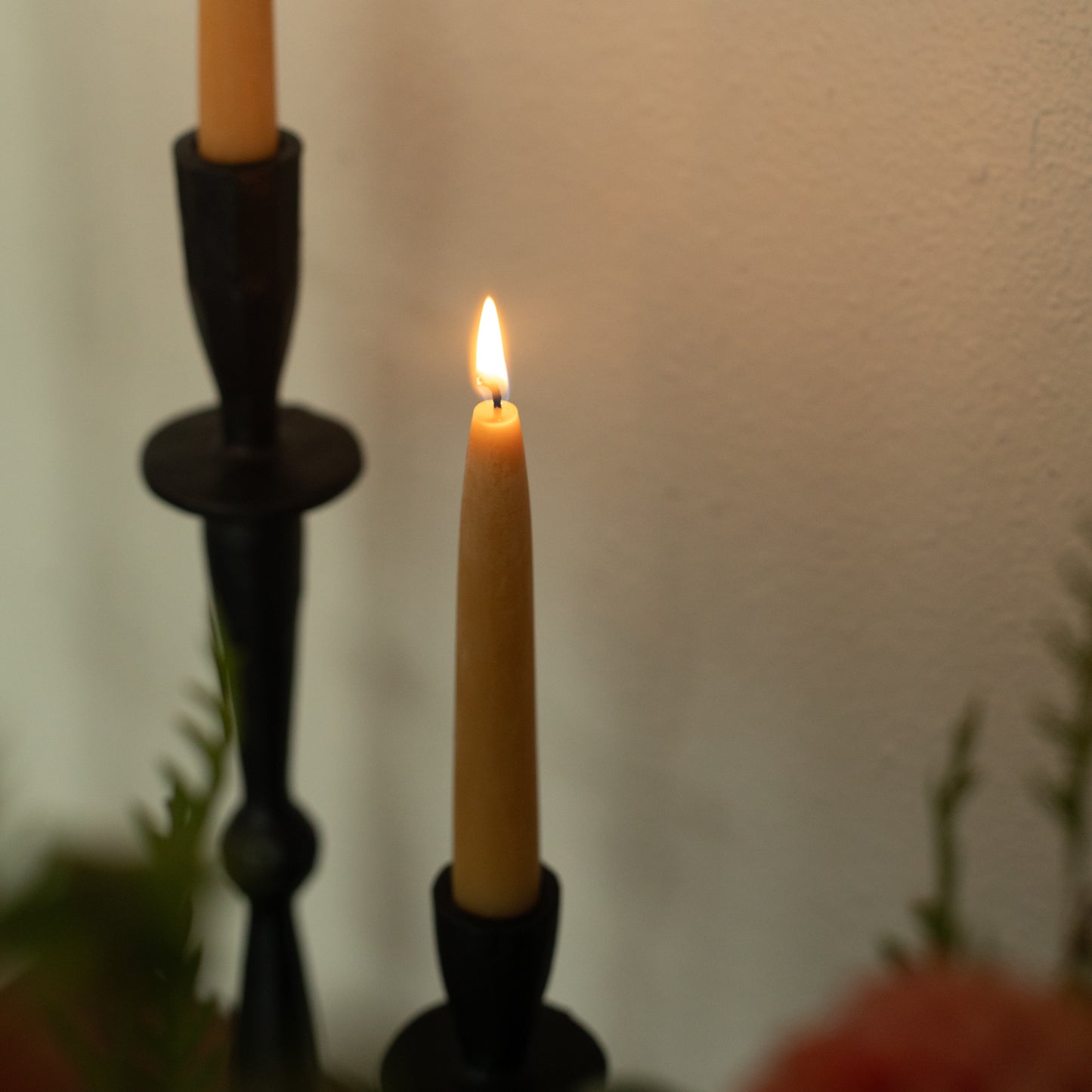 6" BEESWAX TAPER CANDLES - S/2