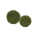 Moss Ball