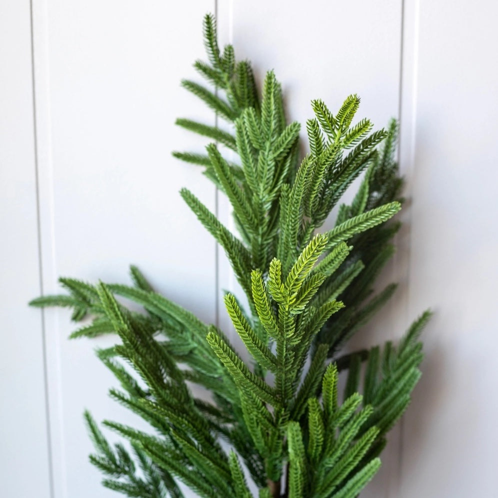 Faux Norfolk Pine Stems