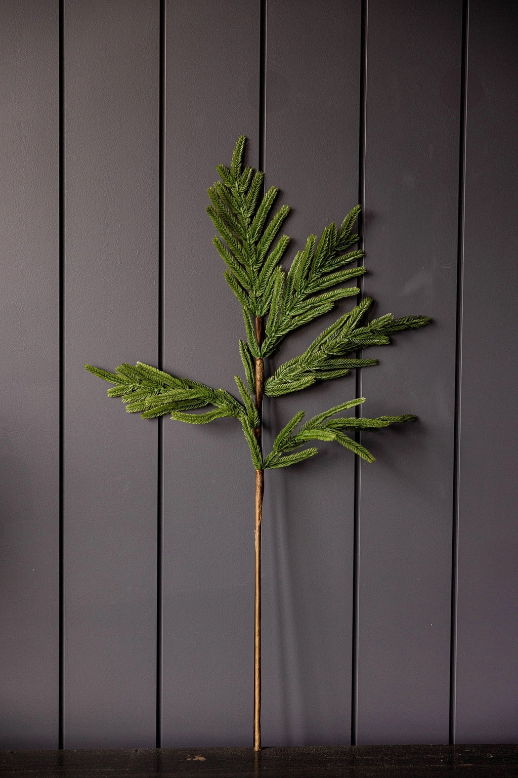 Faux Norfolk Pine Stems