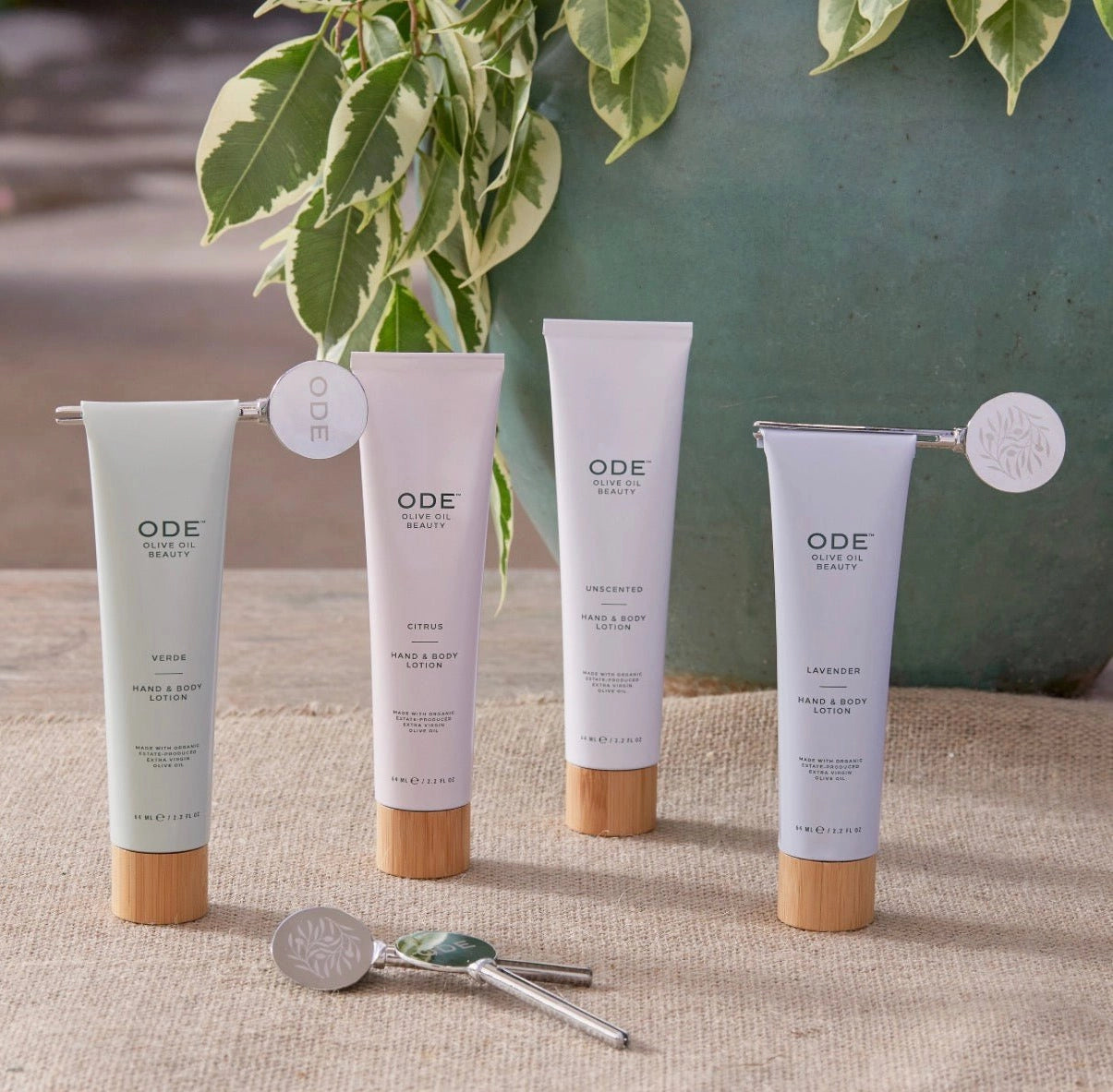 Four ODE beauty products on a textured surface with a plant in the background