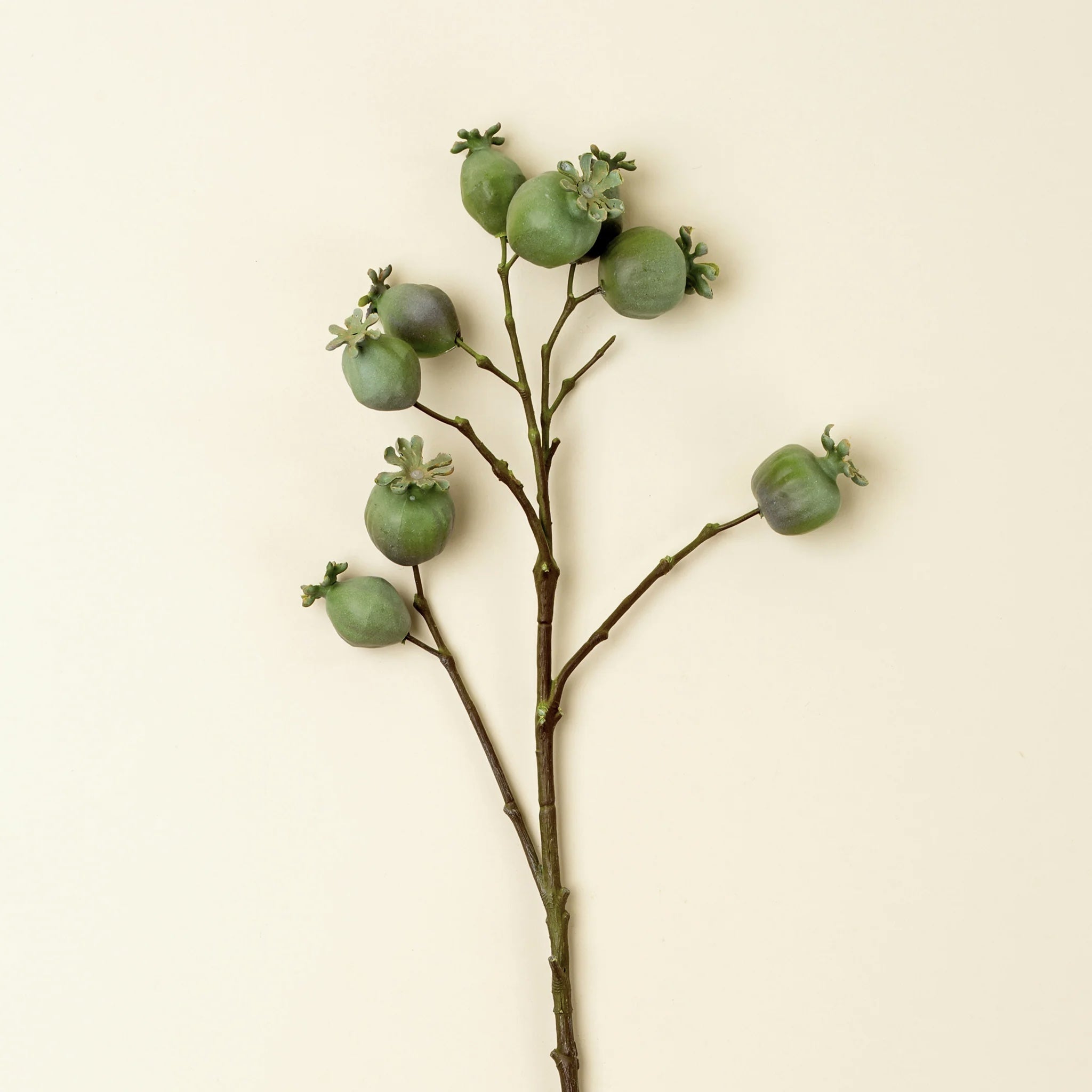 Poppy Pod Stem