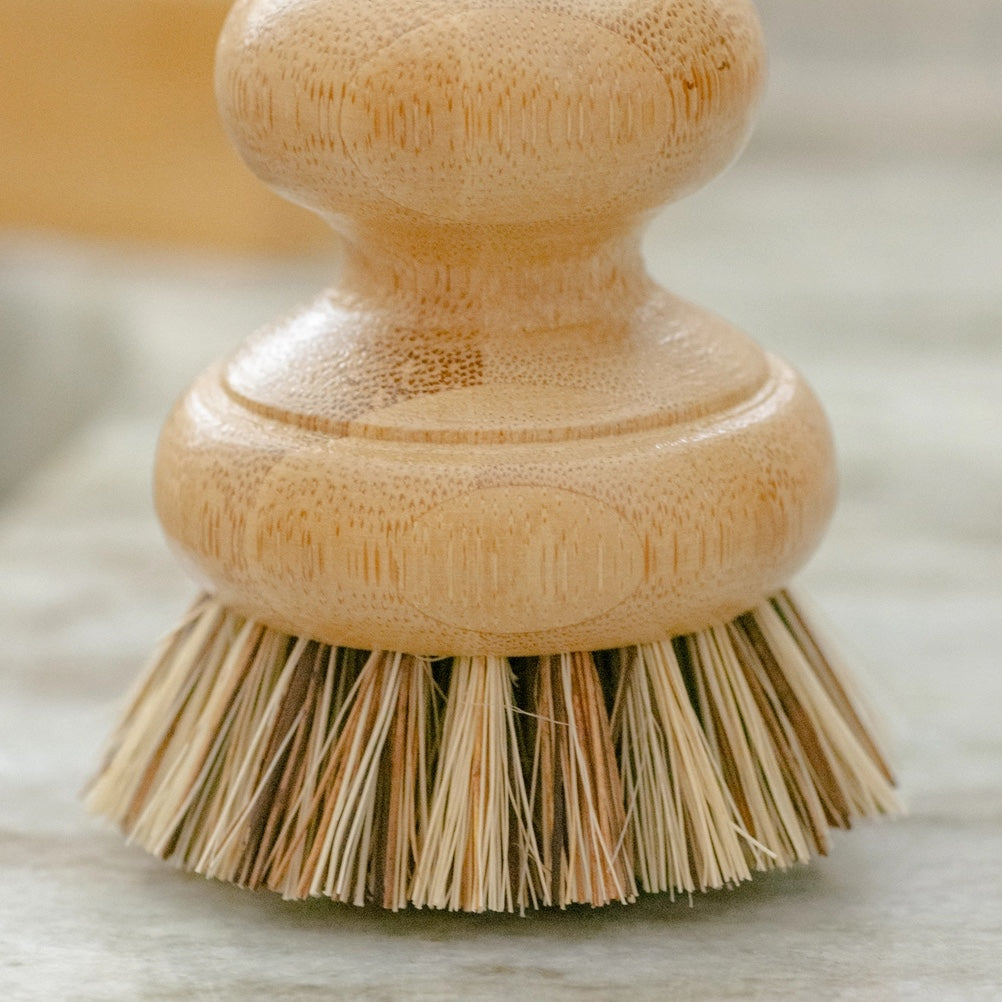 Pot Scrubber Brush