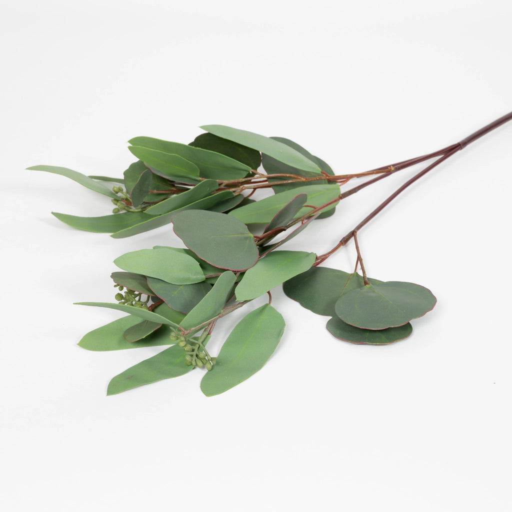 Seeded Eucalyptus Stem