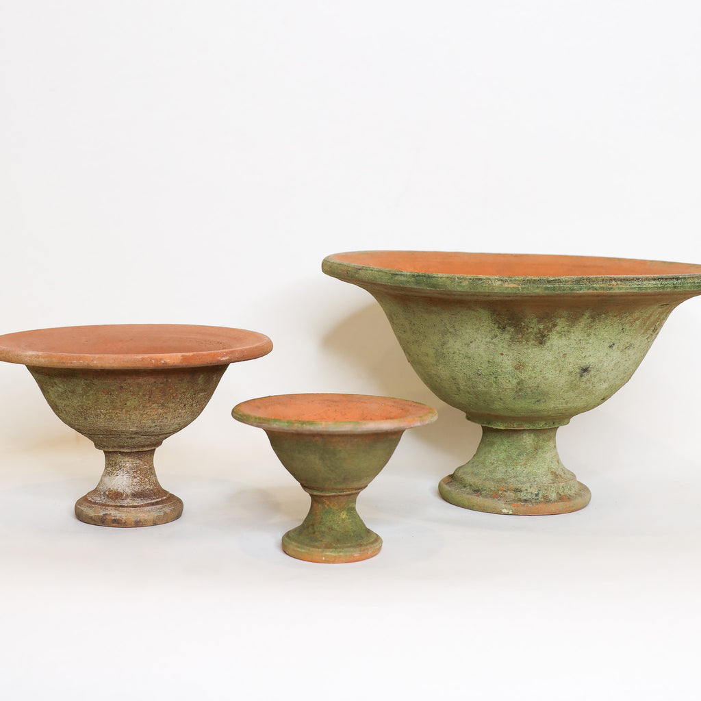Venetian Fruit Bowls