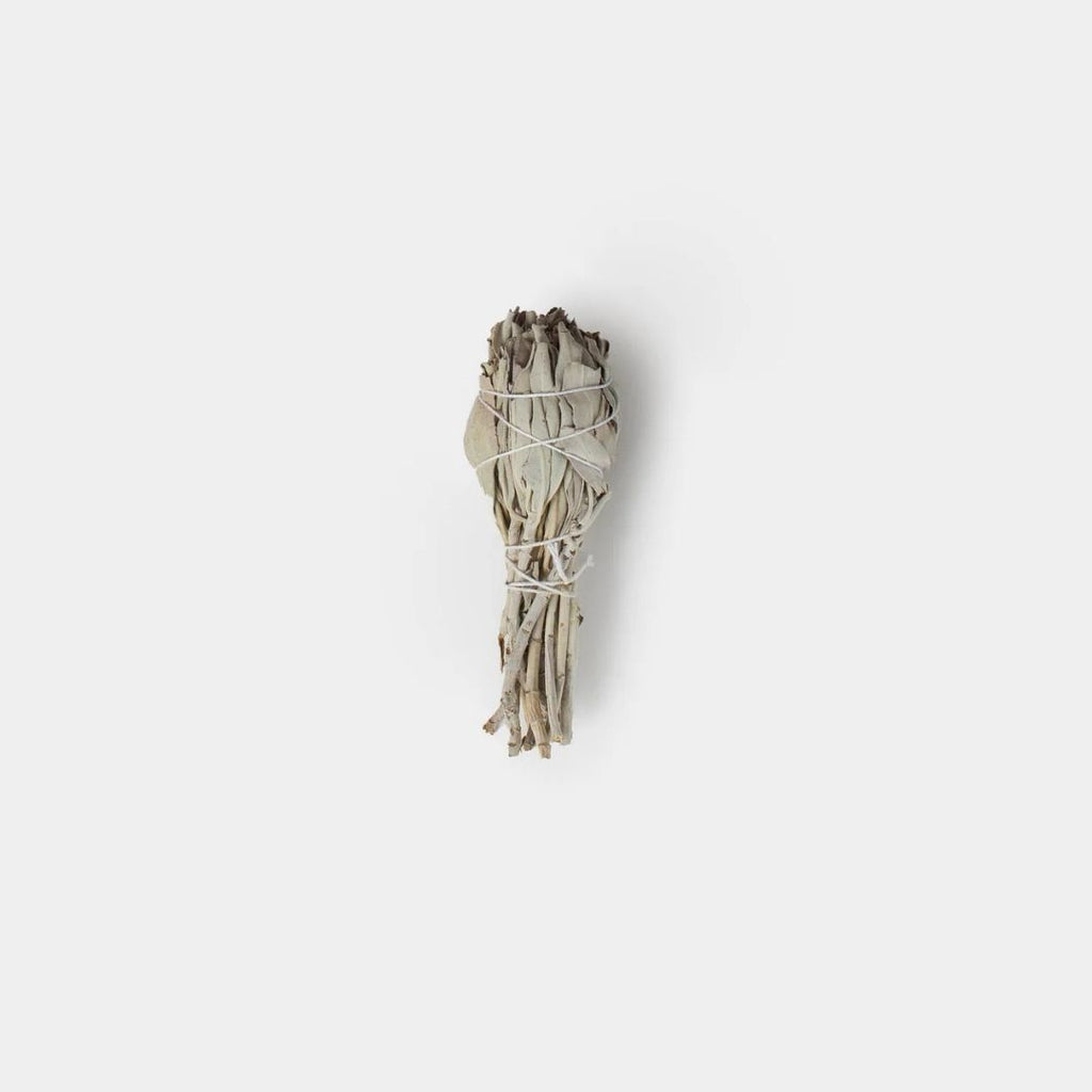 White Sage Torch