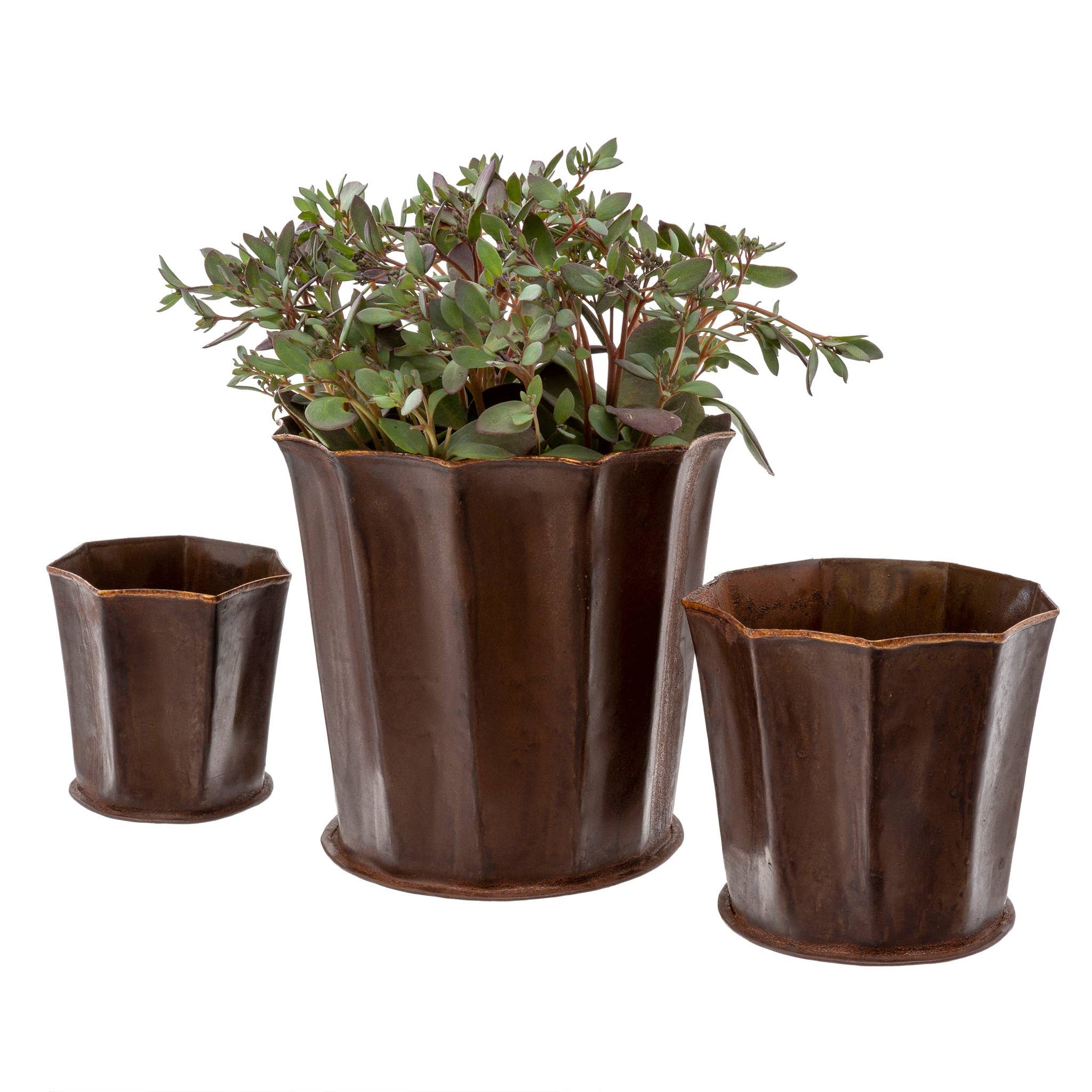 Leathered Fluted Pots